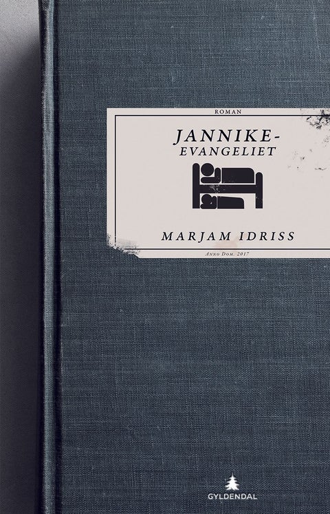 Jannikeevangeliet - roman