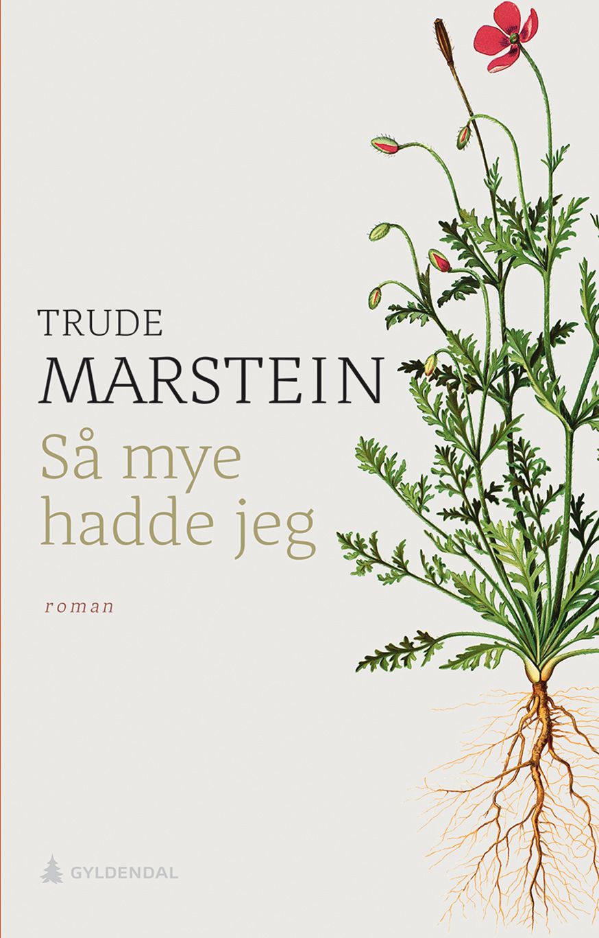 Så mye hadde jeg - roman