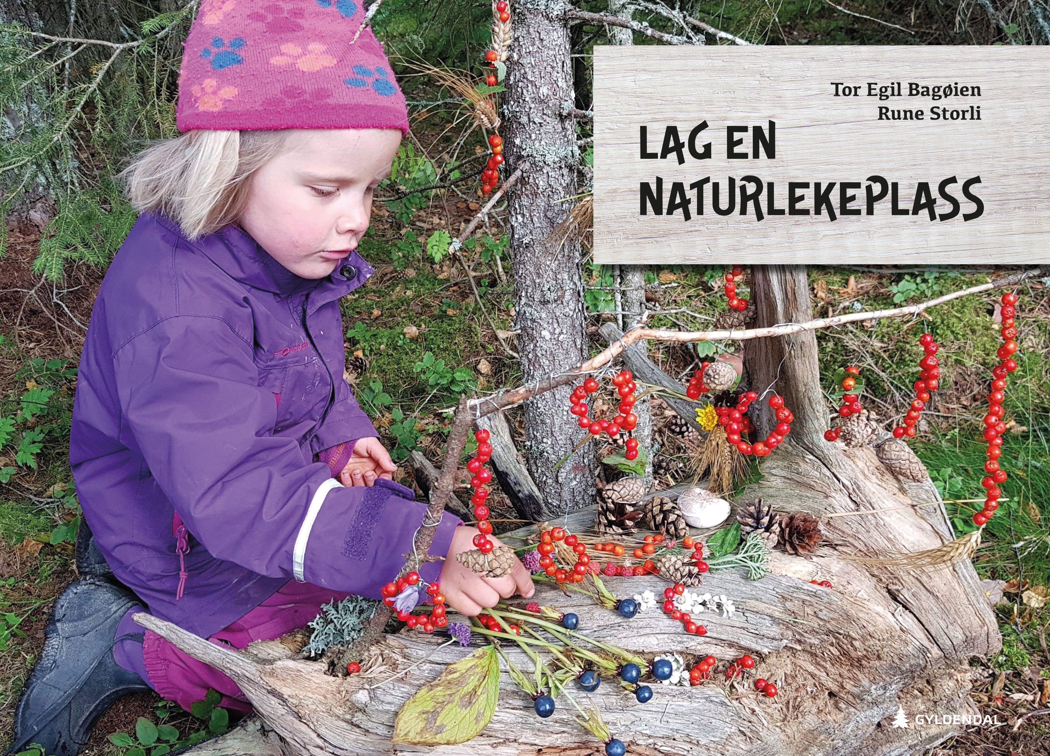 Lag en naturlekeplass - i barnehage og skole