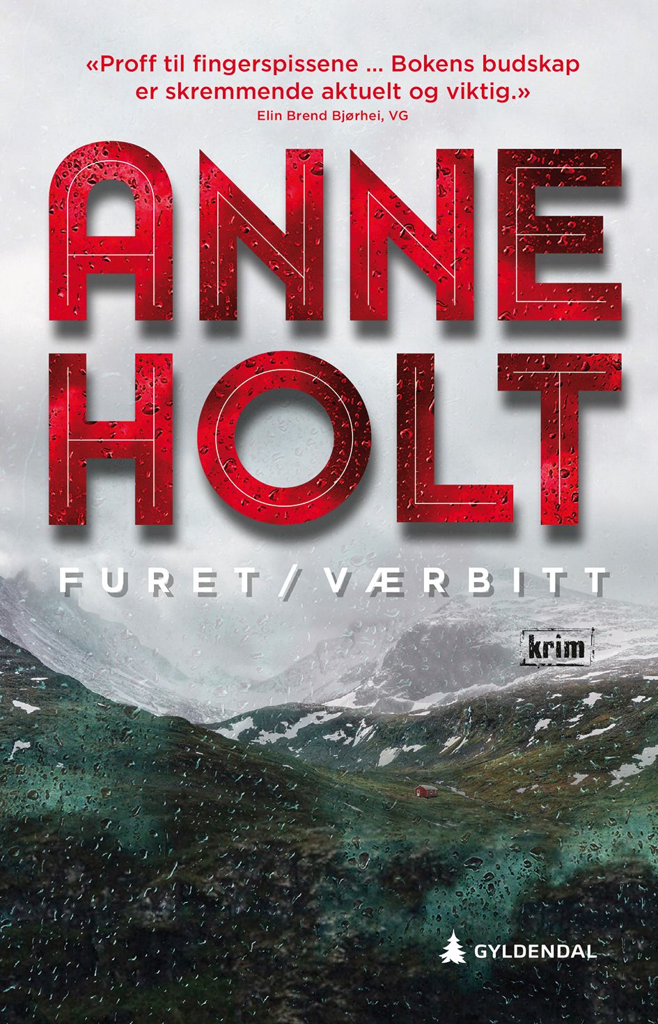 Furet/værbitt - Selma Falcks andre store sak : kriminalroman