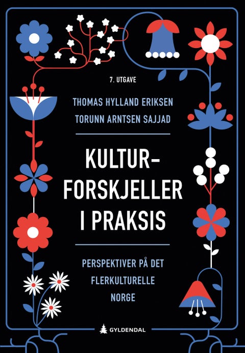 Kulturforskjeller i praksis - perspektiver på det flerkulturelle Norge