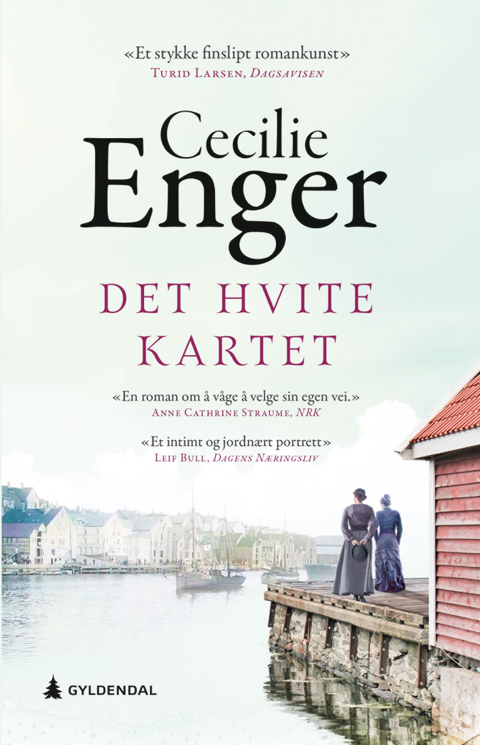 Det hvite kartet - roman