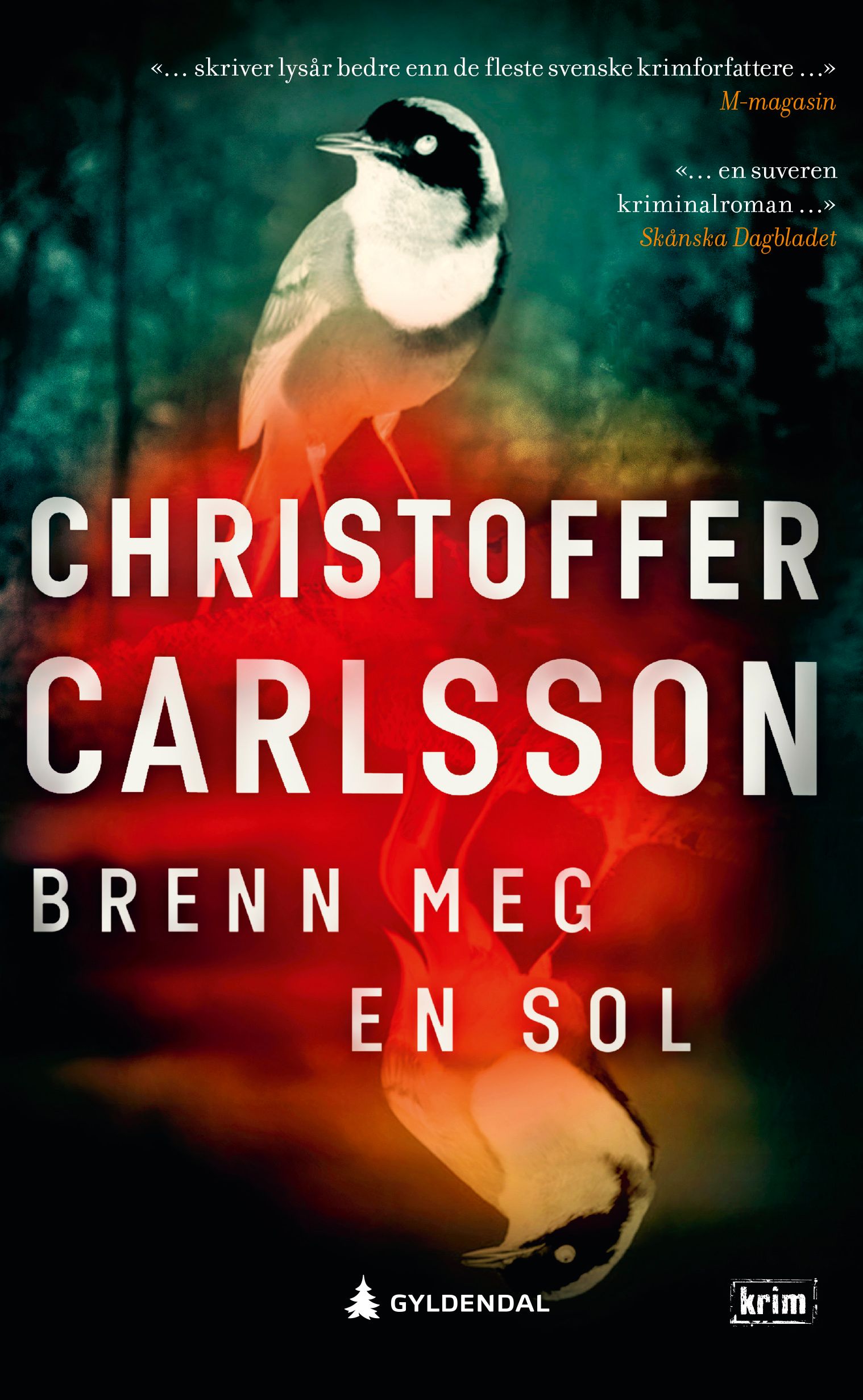 Brenn meg en sol - en roman om en forbrytelse