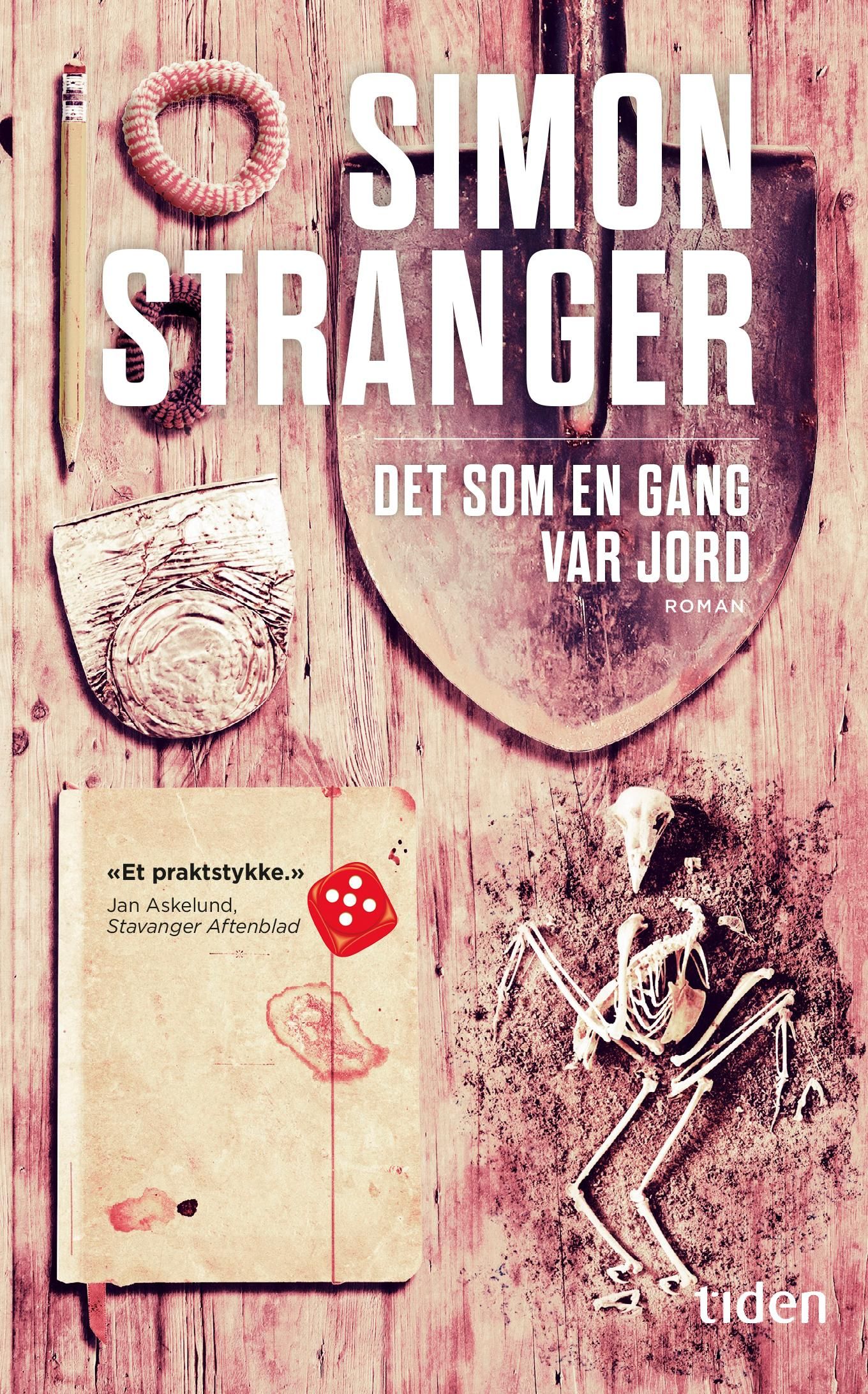 Det som en gang var jord - roman