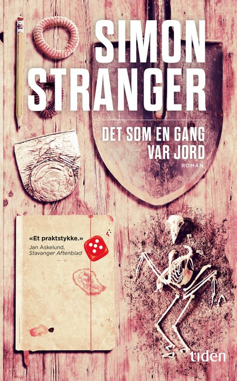Det som en gang var jord - roman