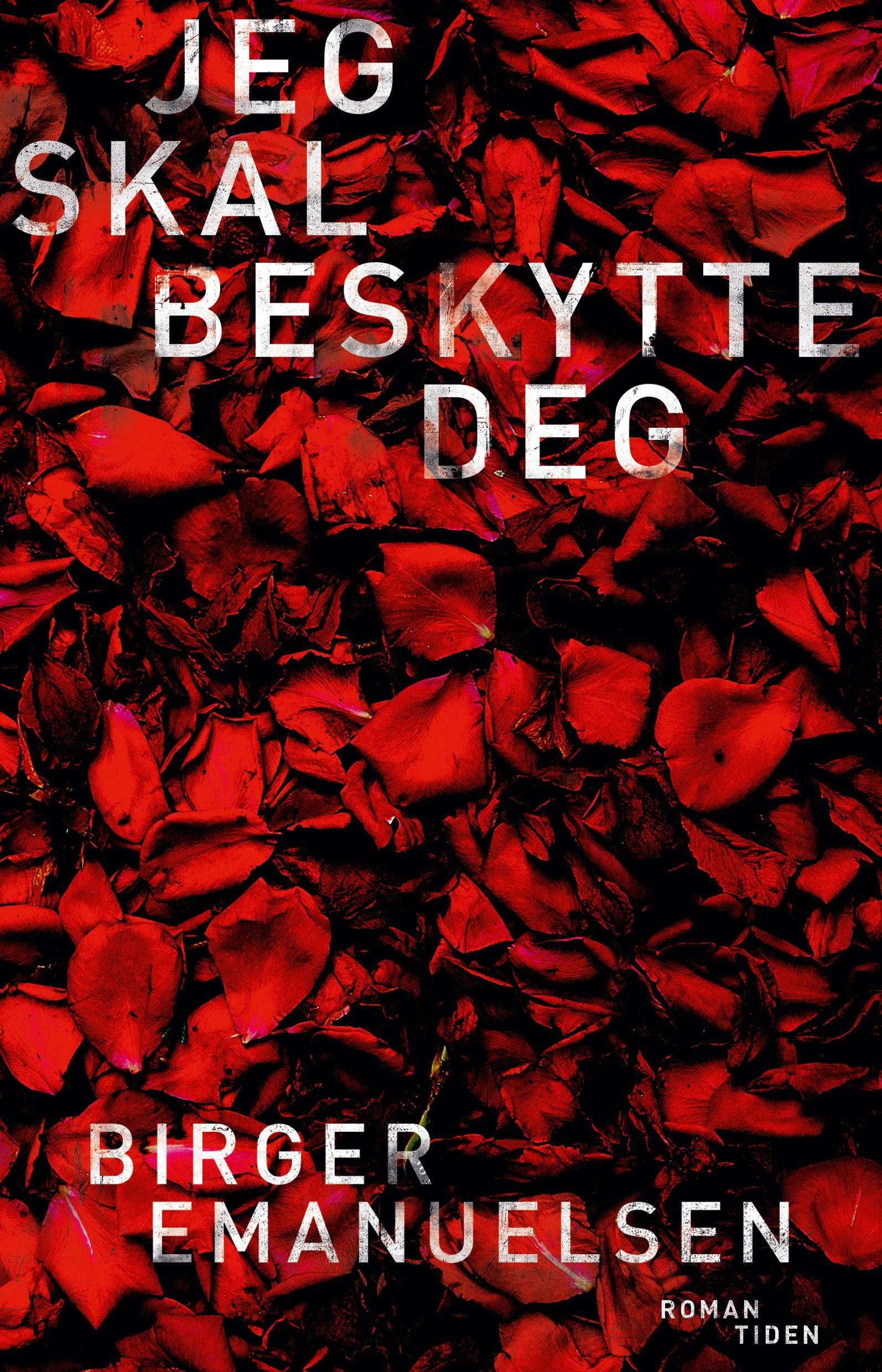 Jeg skal beskytte deg - roman