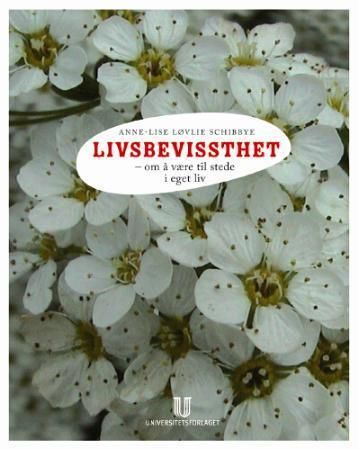 Livsbevissthet - om å være til stede i eget liv