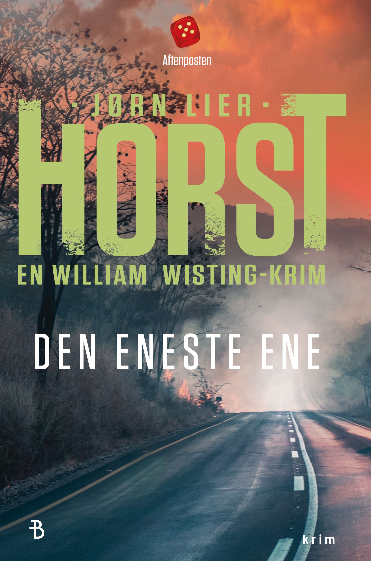 Den eneste ene - kriminalroman