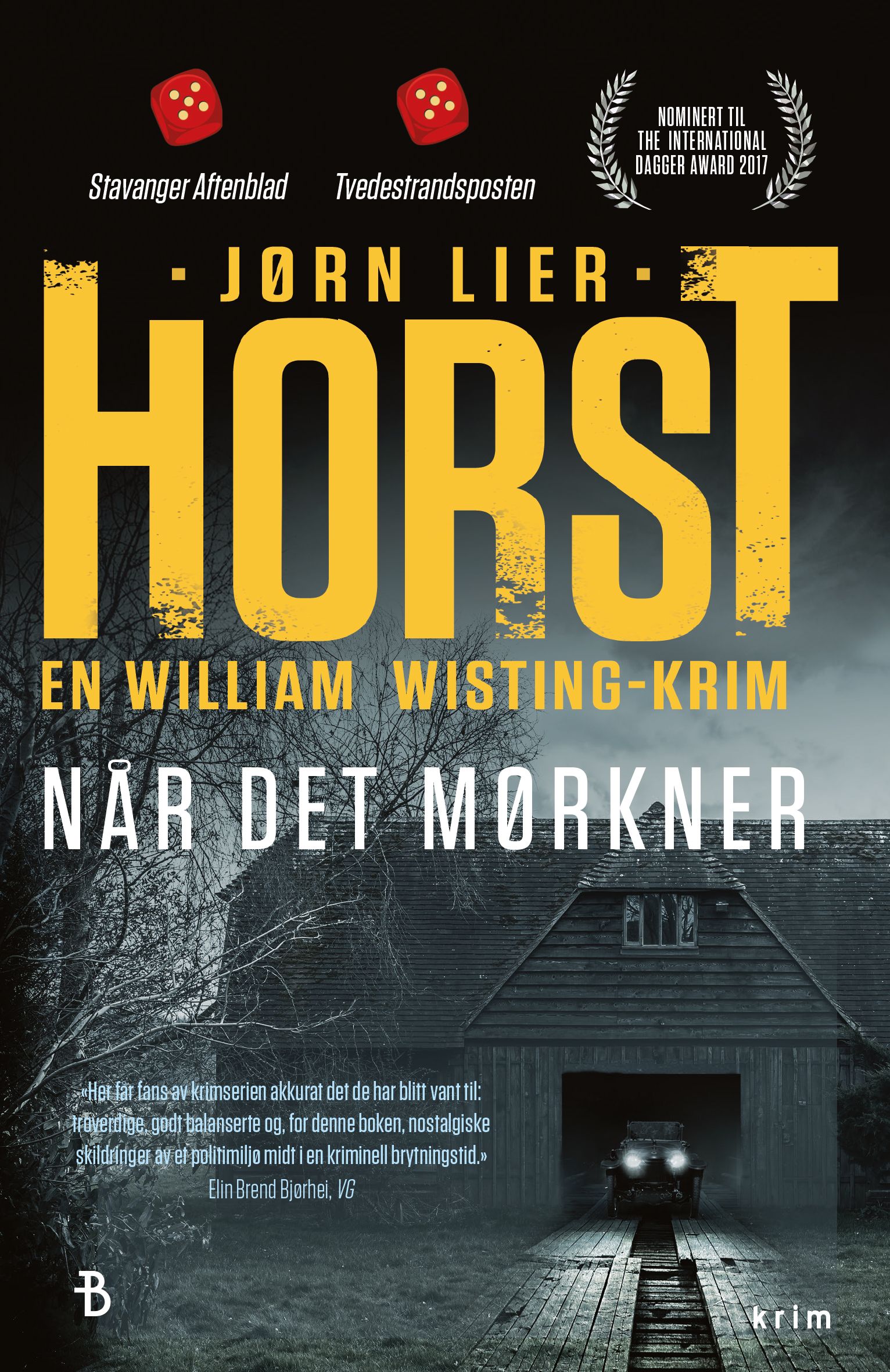 Når det mørkner - kriminalroman