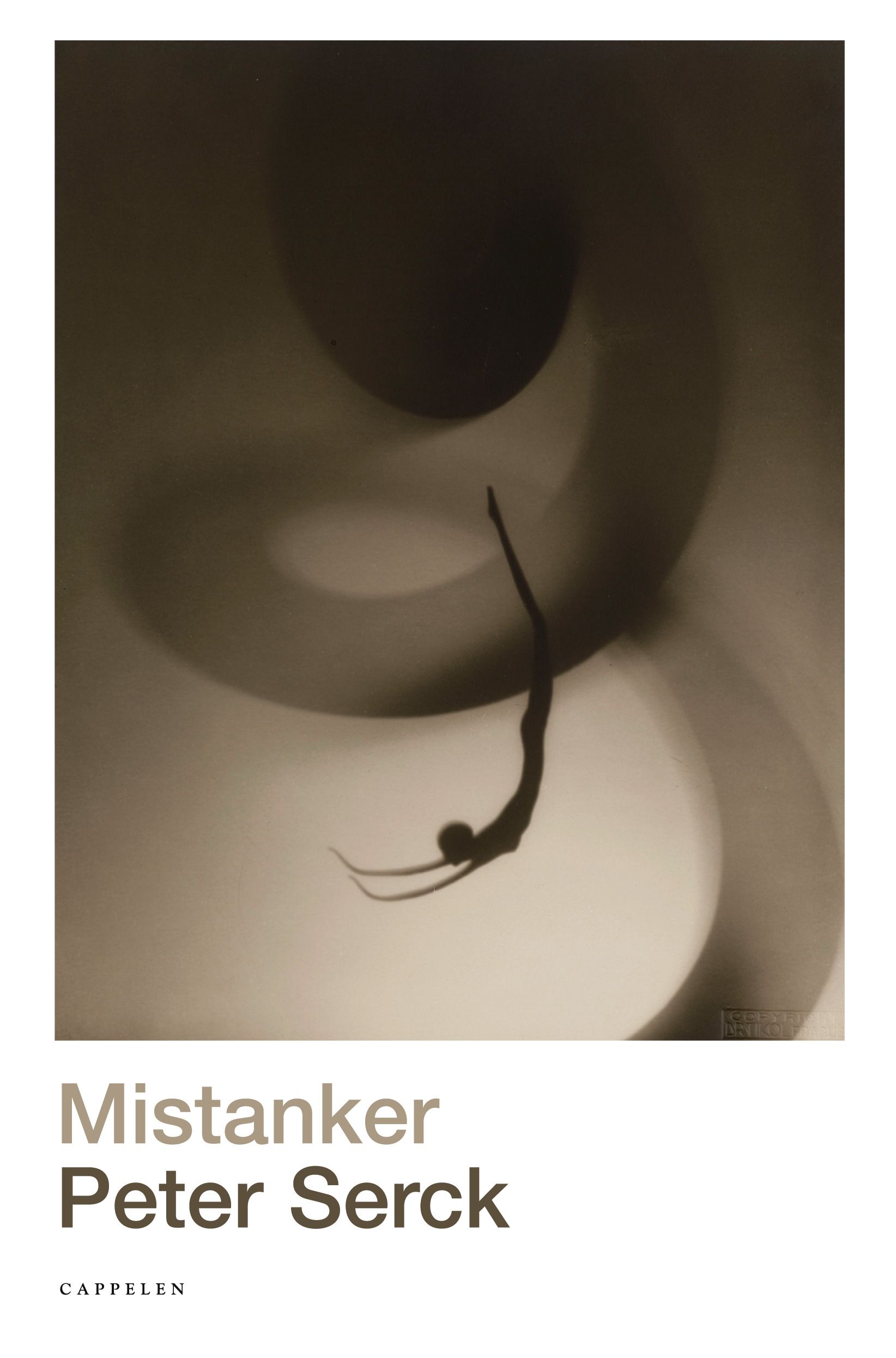 Mistanker - roman