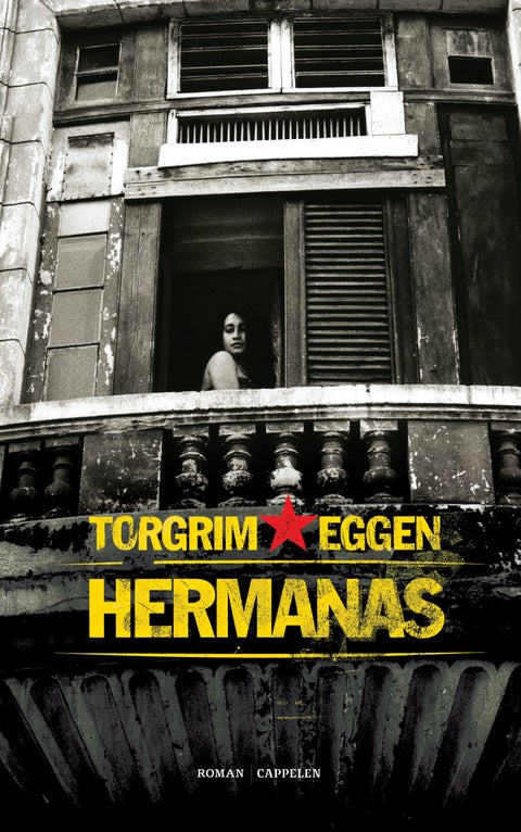 Hermanas - roman