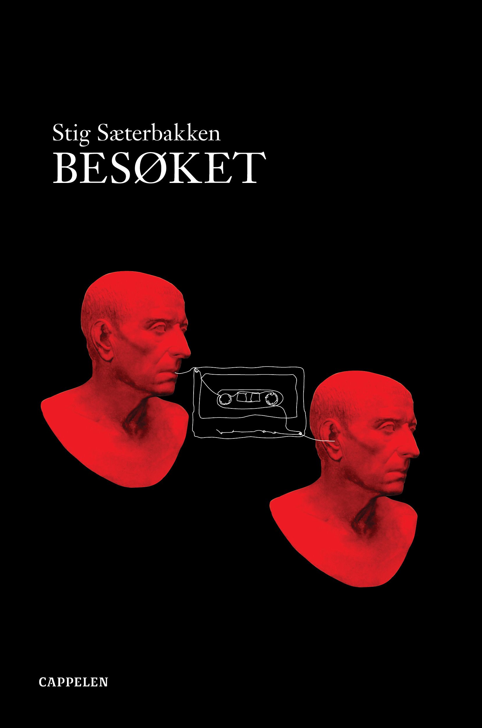 Besøket - roman