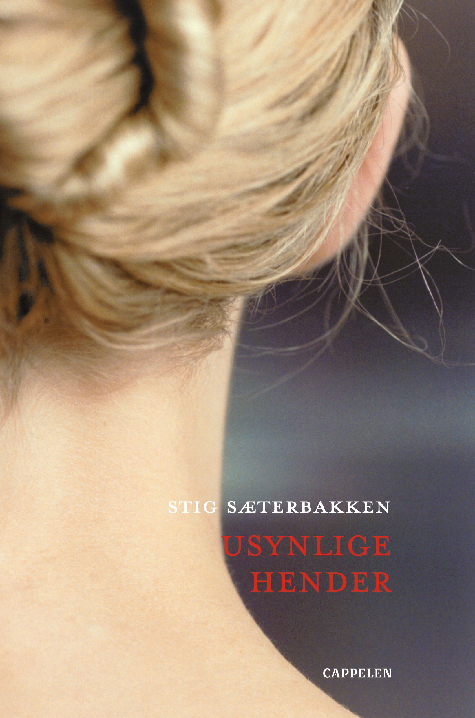 Usynlige hender - roman
