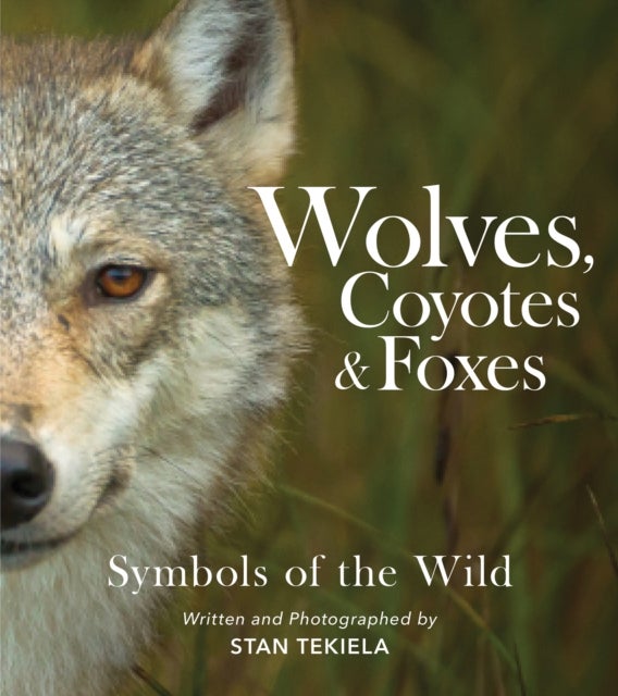 Wolves, Coyotes & Foxes - Symbols of the Wild