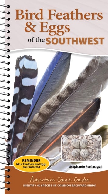 Bird Feathers & Eggs of the Southwest - Identify 40 Species of Common Backyard Birds