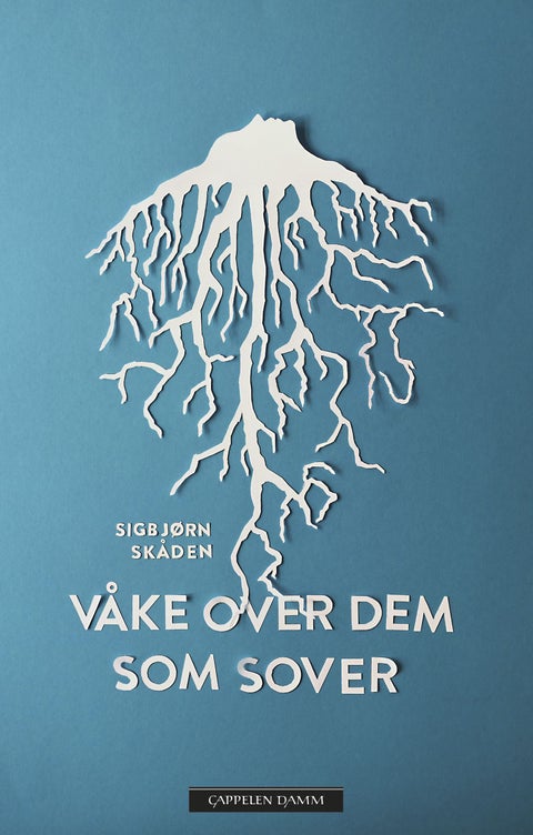 Våke over dem som sover - roman