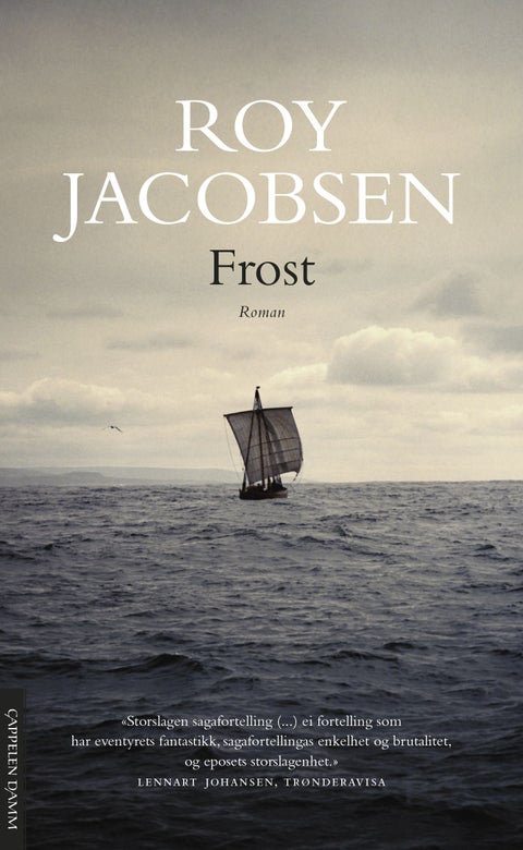 Frost - roman