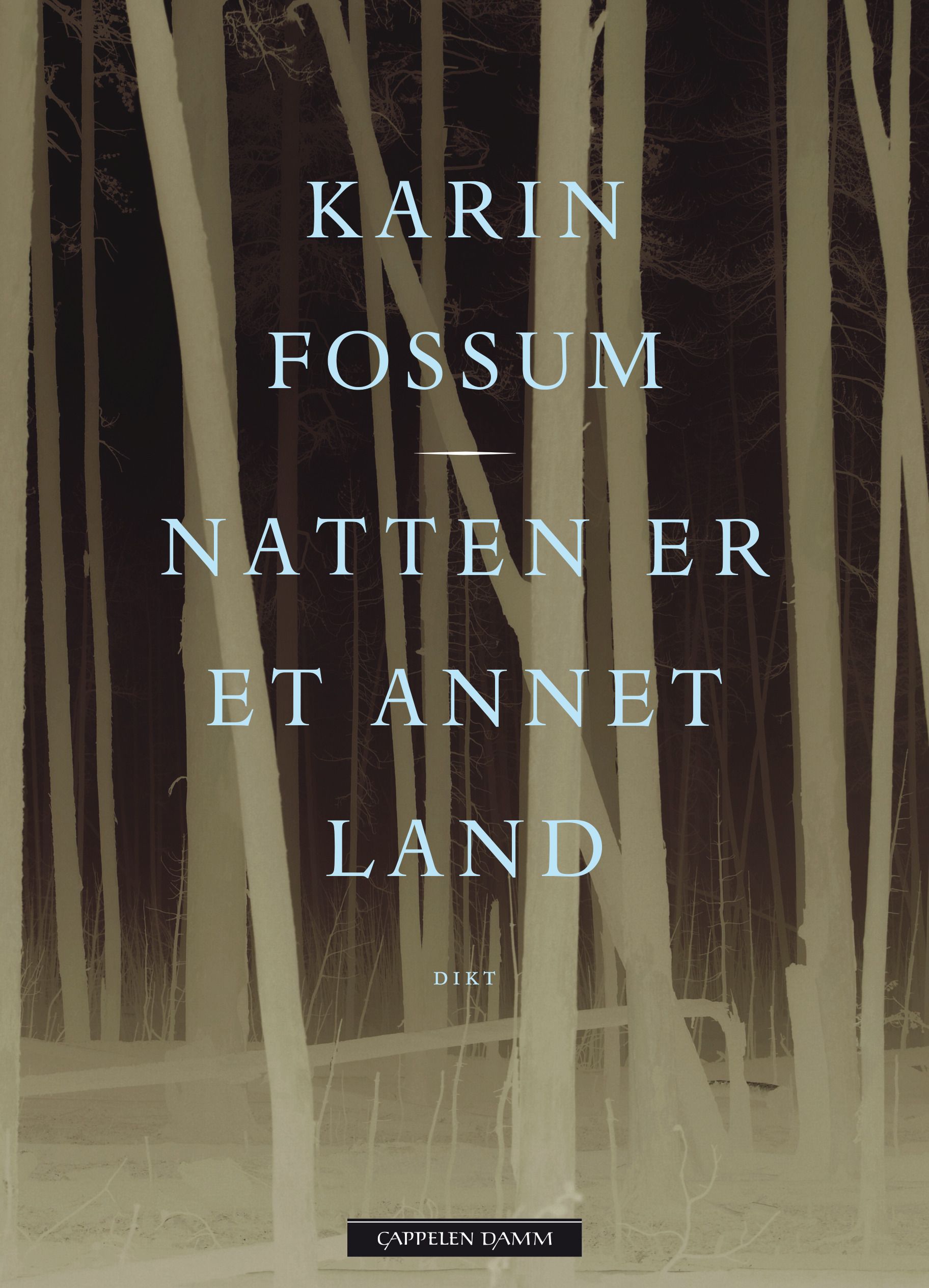 Natten er et annet land - dikt