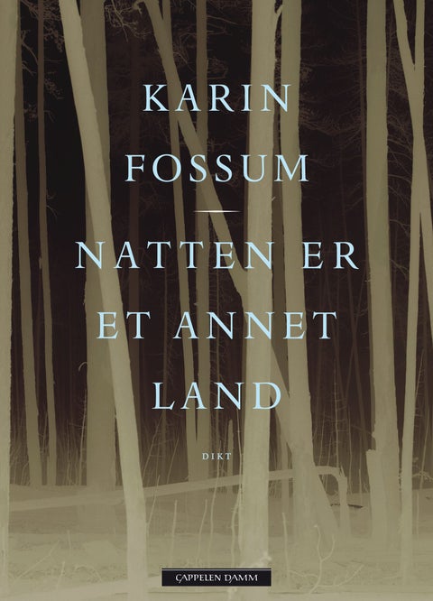 Natten er et annet land - dikt
