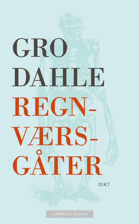 Regnværsgåter