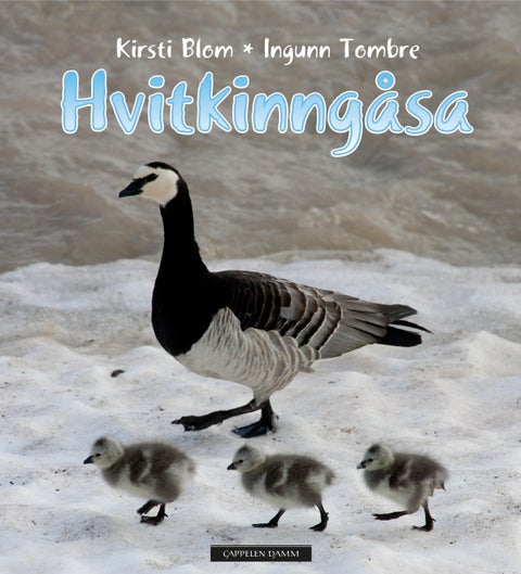 Hvitkinngåsa