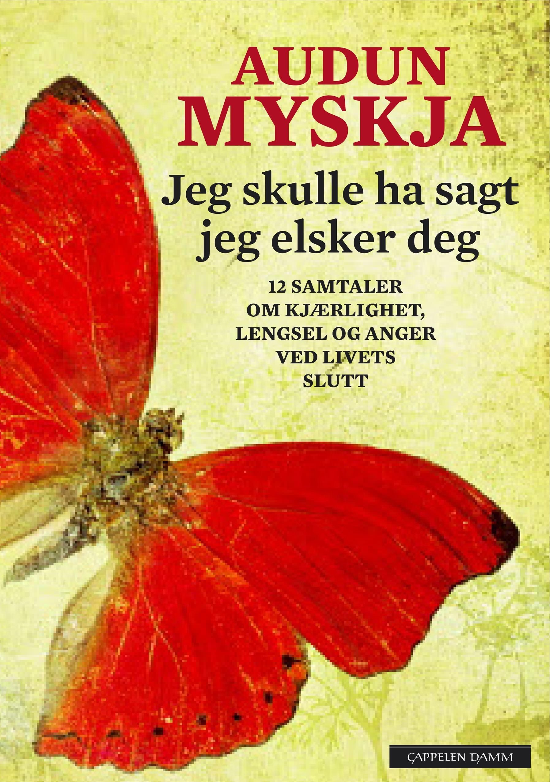Jeg skulle ha sagt jeg elsker deg - 12 samtaler om kjærlighet, lengsel og anger ved livets slutt