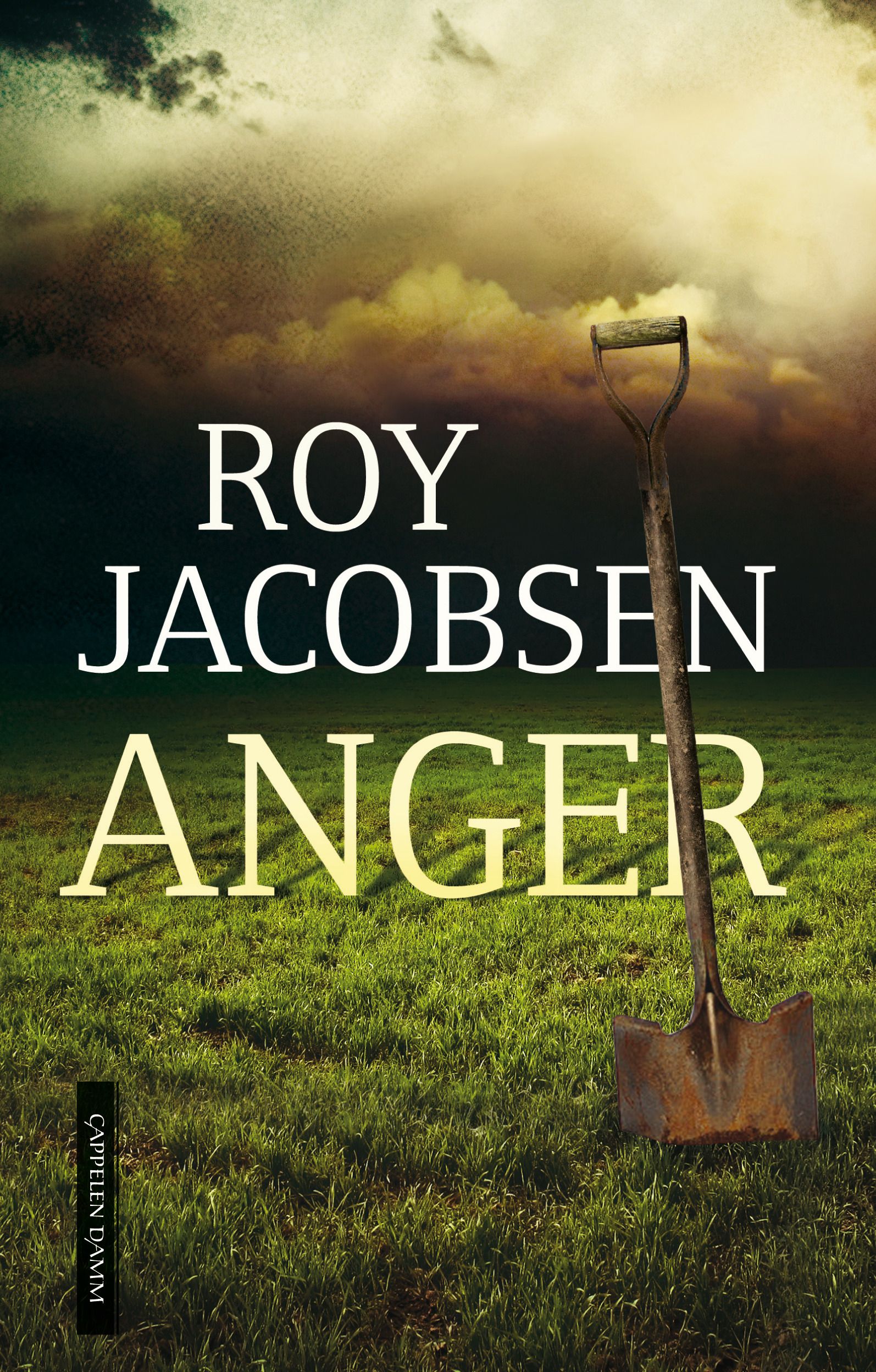 Anger - roman