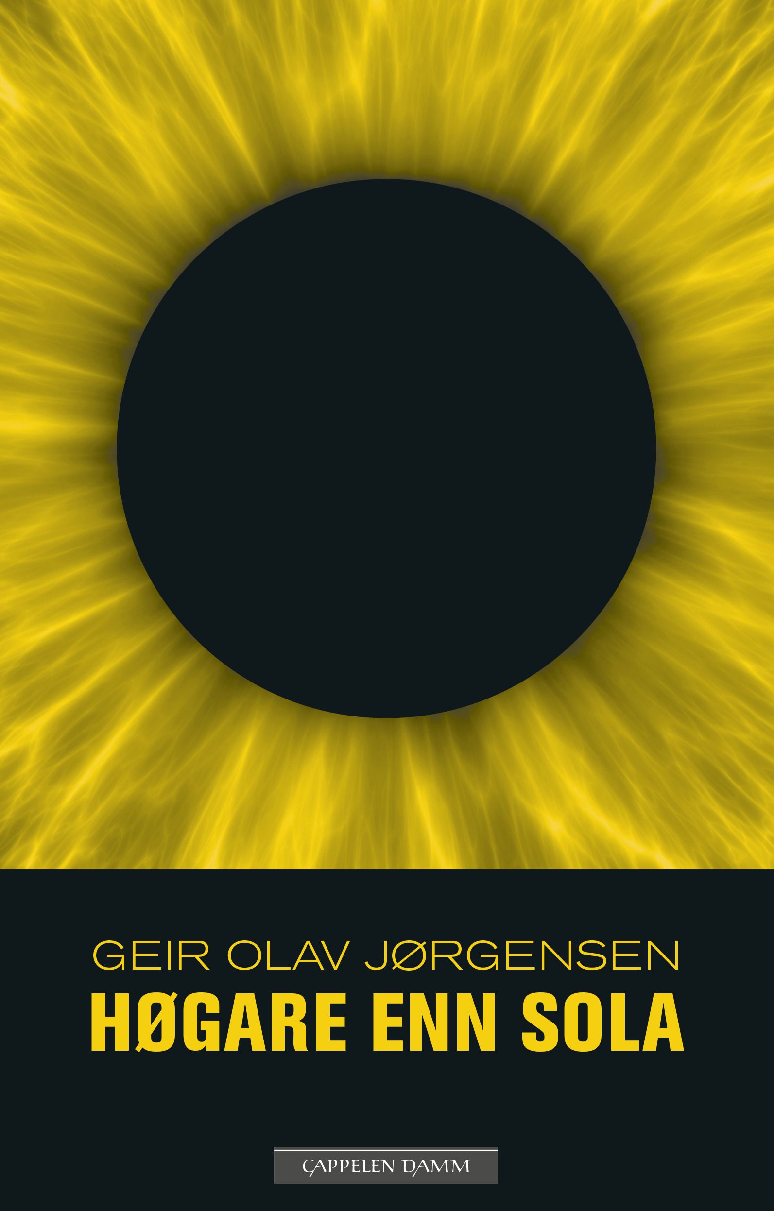Høgare enn sola - roman