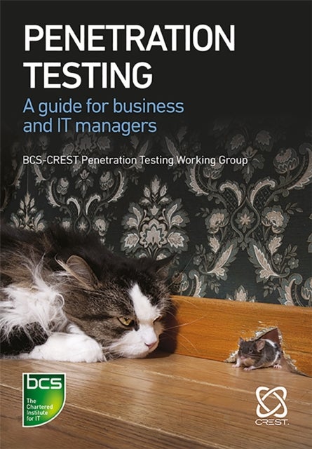 Penetration Testing - A guide for business and IT managers