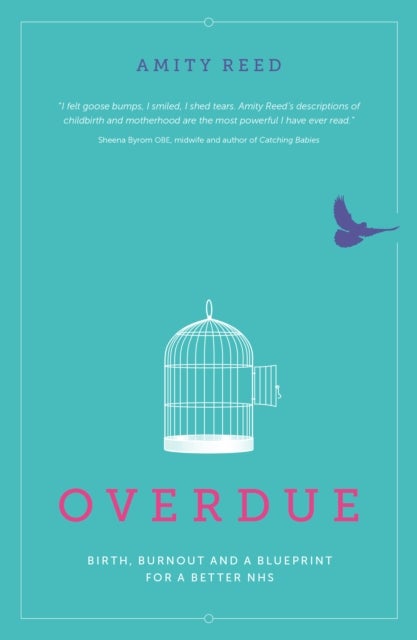 Overdue - Birth, burnout and a blueprint for a better NHS