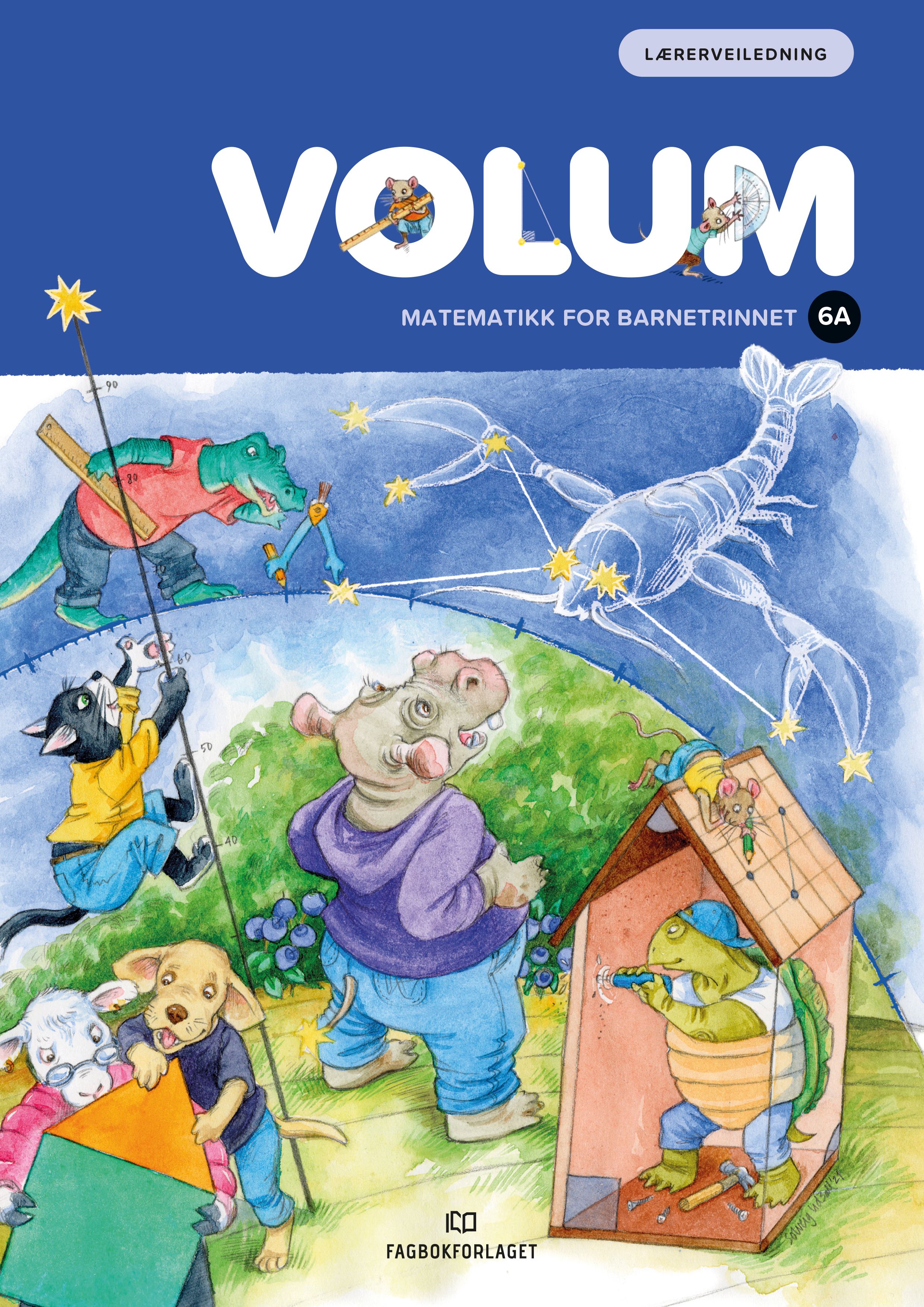 Volum 6A - Lærerveiledning