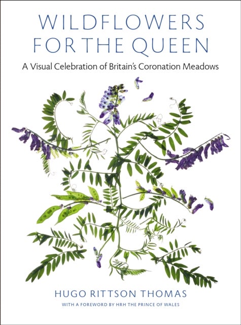 Wildflowers for the Queen - A Visual Celebration of Britain's Coronation Meadows