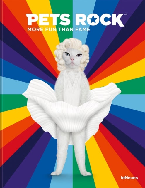 Pets Rock - More Fun than Fame