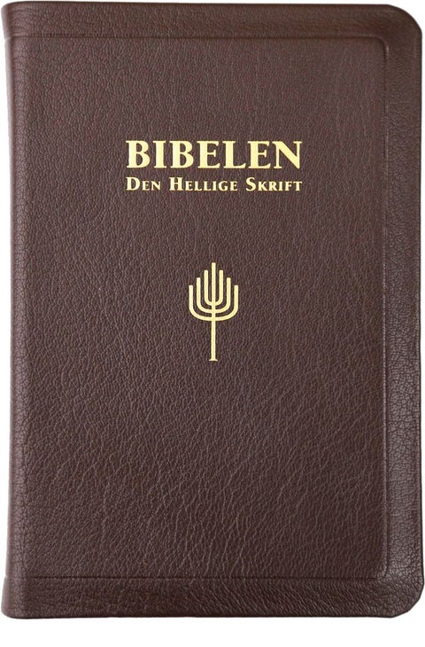 Bibelen - Den hellige skrift : Det gamle og Det nye testamentes kanoniske bøker
