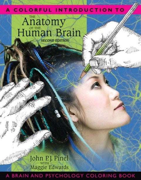 Colorful introduction to the anatomy of the brain