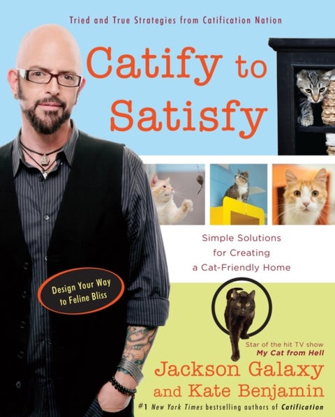 Catify to Satisfy - Simple Solutions for Creating a Cat-Friendly Home