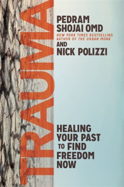 Trauma - Healing Your Past to Find Freedom Now