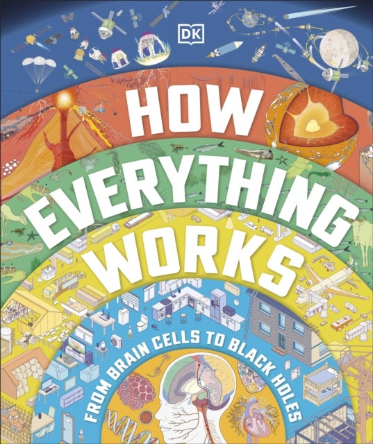 How Everything Works - From Brain Cells to Black Holes