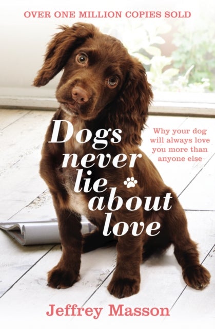 Dogs Never Lie About Love - Why Your Dog Will Always Love You More Than Anyone Else