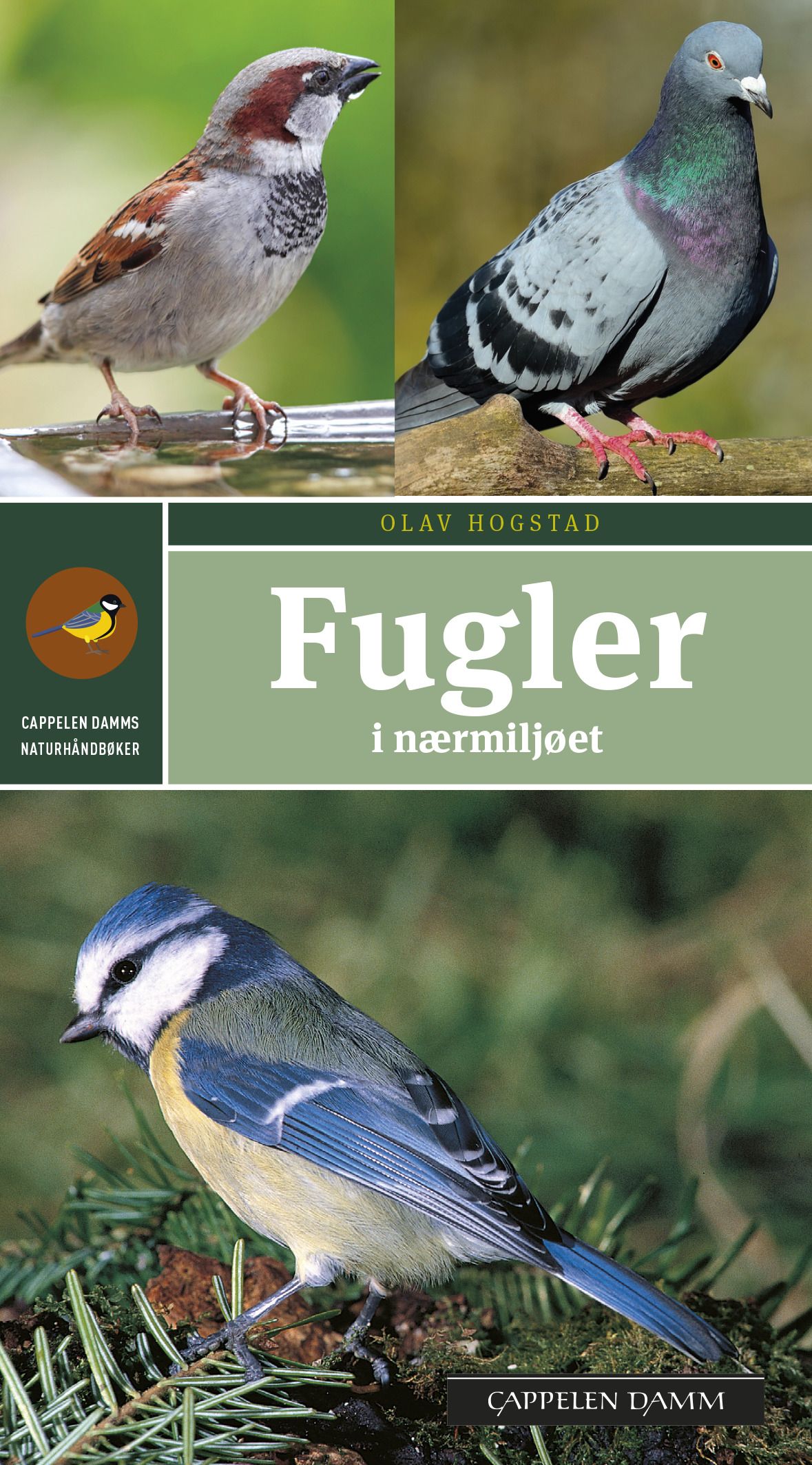 Fugler i nærmiljøet - enkel og sikker artsbestemmelse