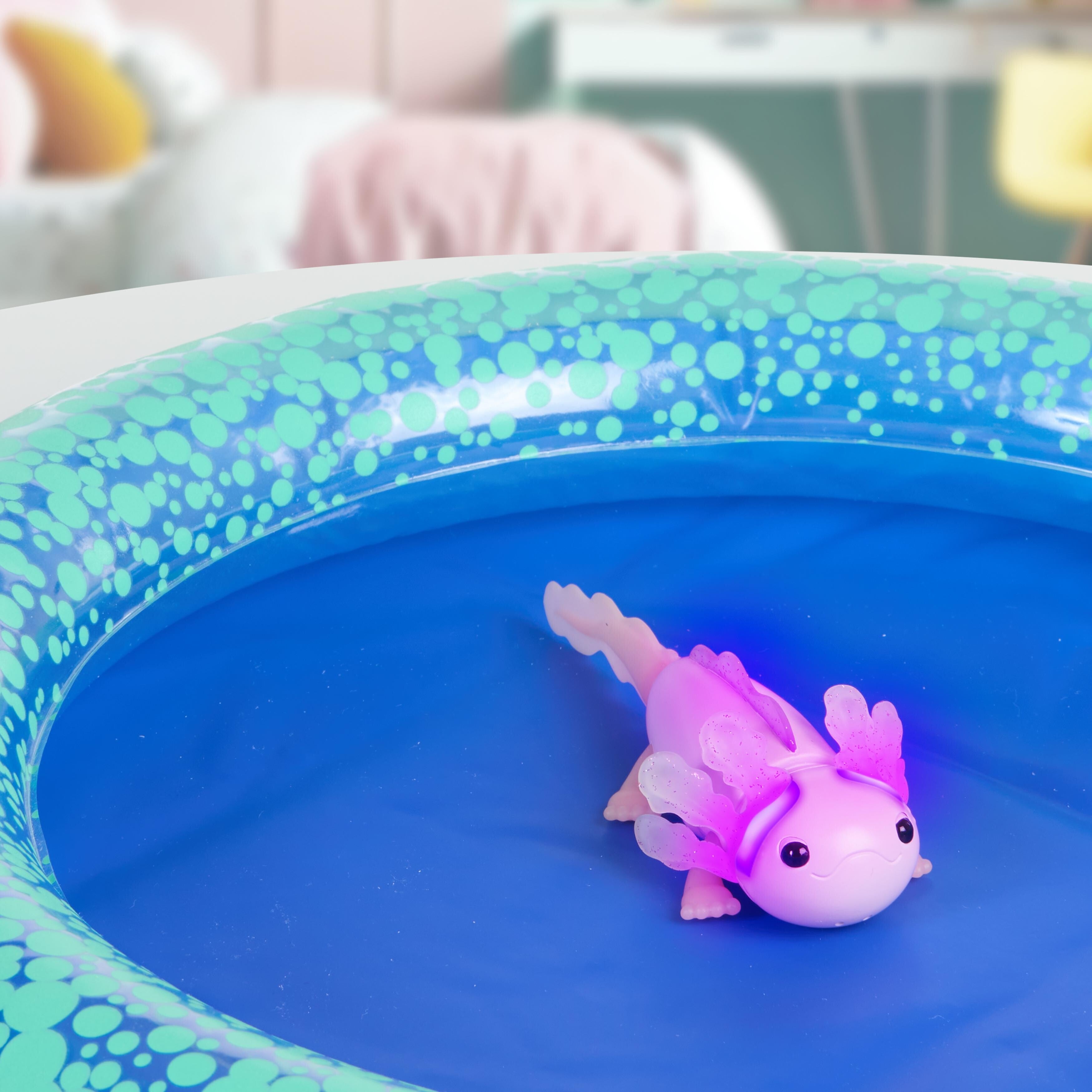 Fingerlings Axolotl Akvarium