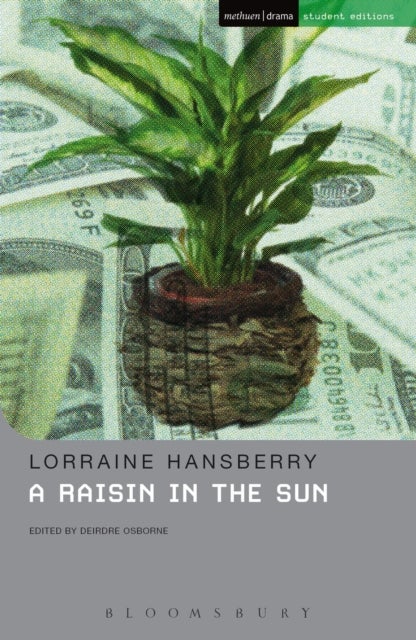 Raisin In The Sun, A