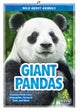 Giant Pandas