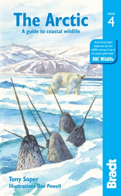 Arctic: A guide to coastal wildlife. Bradt 4th ed - A guide to coastal wildlife