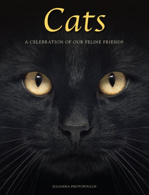 Cats - A Celebration of our Feline Friends