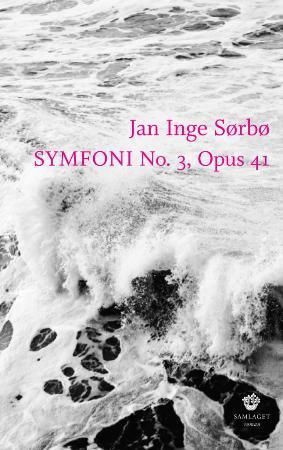 Symfoni no. 3, opus 41 - roman