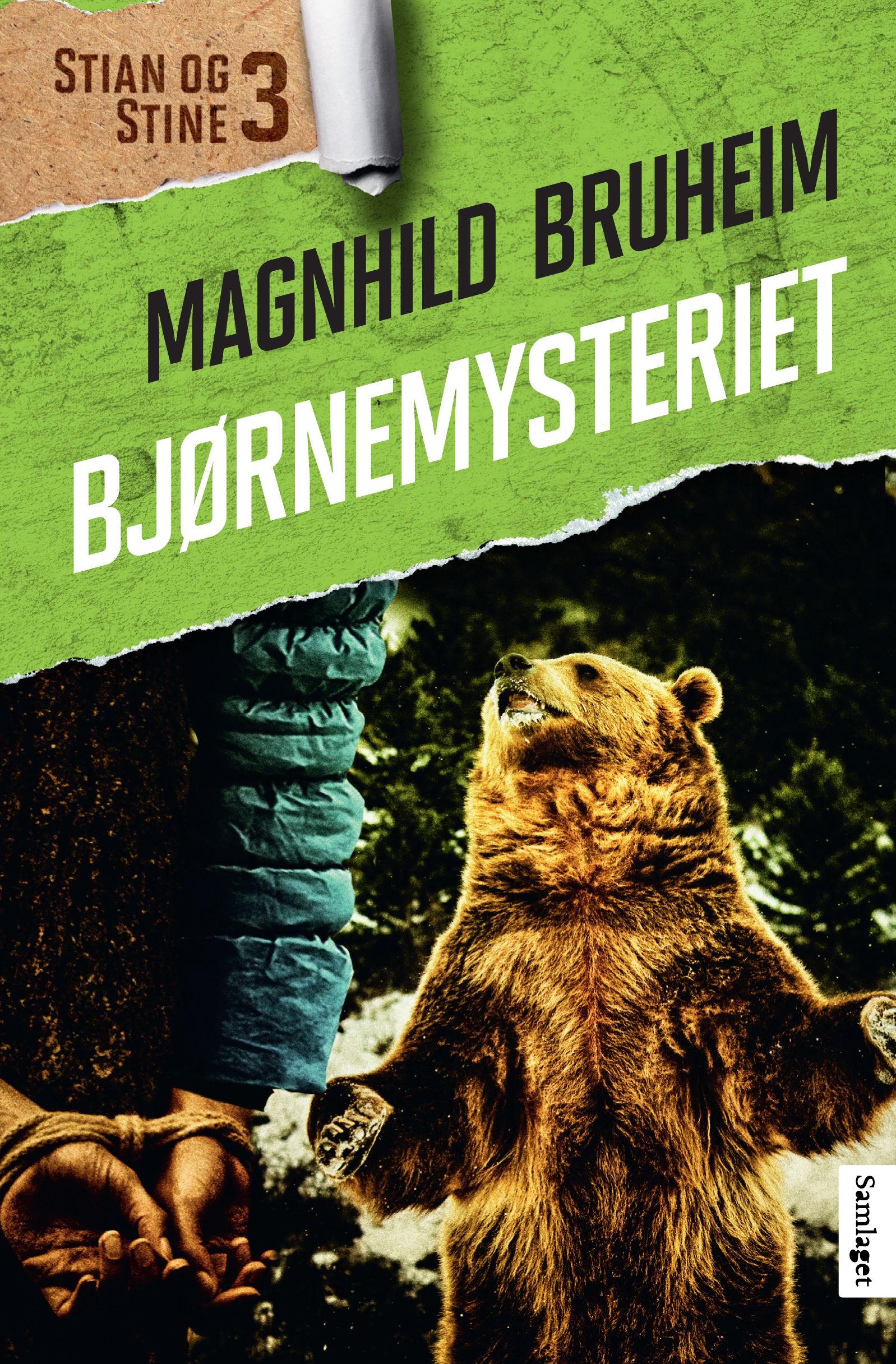 Bjørnemysteriet - roman