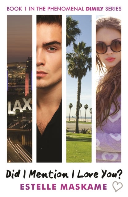 Did I Mention I Love You? (The DIMILY Series) - the perfect YA romance - secrets, forbidden love and family drama!