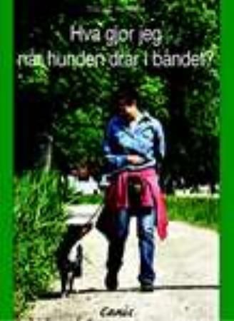 Hva gjør jeg når hunden drar?