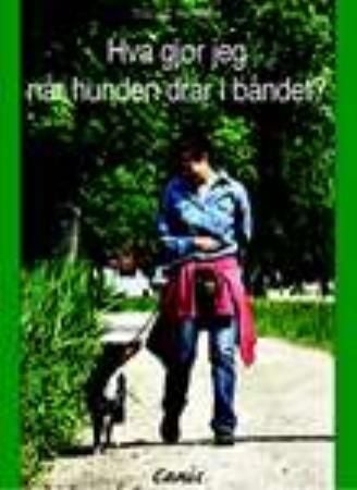 Hva gjør jeg når hunden drar?